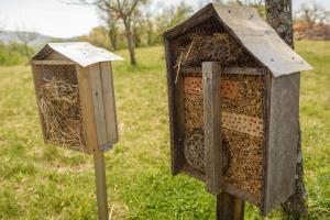 Cerckova domacija_april 2020_POMANJSANE-29-10